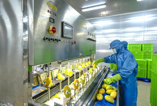 AIG tiên phong xu hướng chế biến sâu và chuỗi liên kết bền vững cho nông sản Việt - Ảnh 3