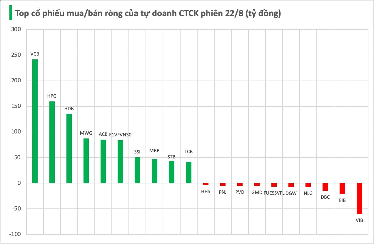 Một thế lực bất ngờ tung hơn 1.200 tỷ "gom" cổ phiếu Việt Nam trong phiên VN-Index bay hơn 42 điểm - Ảnh 1