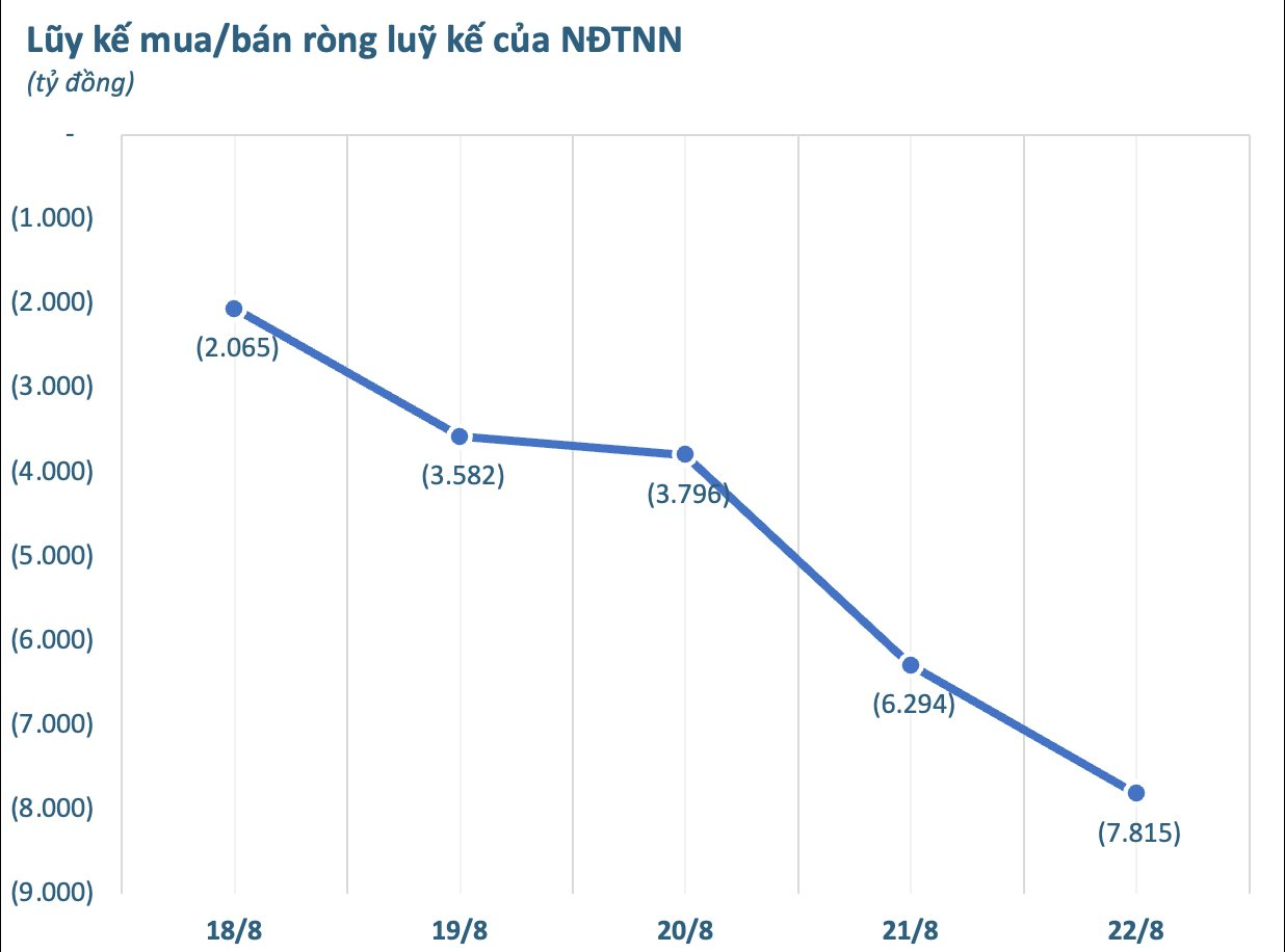 Hai mã Bluechips bị khối ngoại "thẳng tay" xả hàng nghìn tỷ trong tuần 18-22/8, ngược chiều cổ phiếu chứng khoán được gom mạnh - Ảnh 1