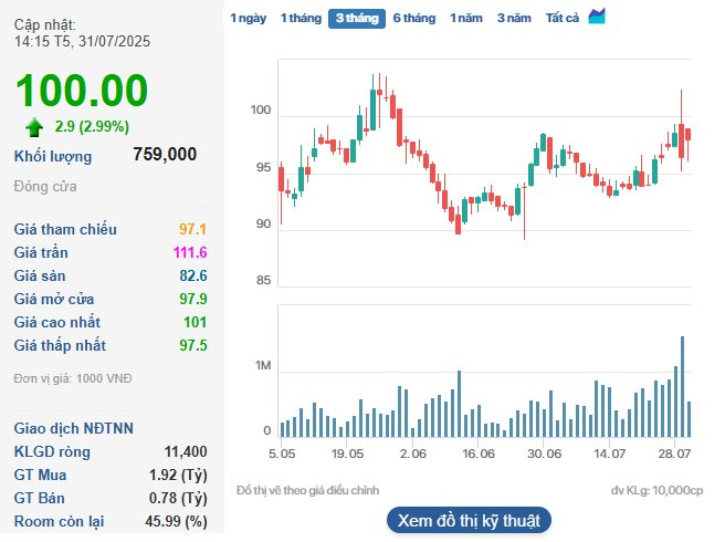 'Ông trùm' hàng không Việt Nam: Lợi nhuận quý 2/2025 giảm 20%, giải ngân 18.746 tỷ cho sân bay Long Thành - Ảnh 3