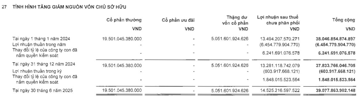 Hàng nghìn tỷ lợi nhuận 'ẩn giấu' của Novaland nằm ở đâu? - Ảnh 2