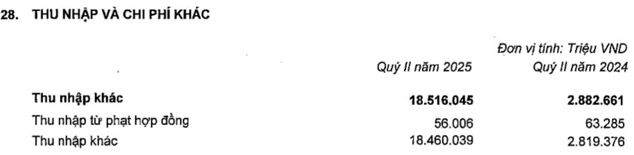 Ông Phạm Nhật Vượng tài trợ cho VinFast 18.000 tỷ trong quý 2 - Ảnh 2