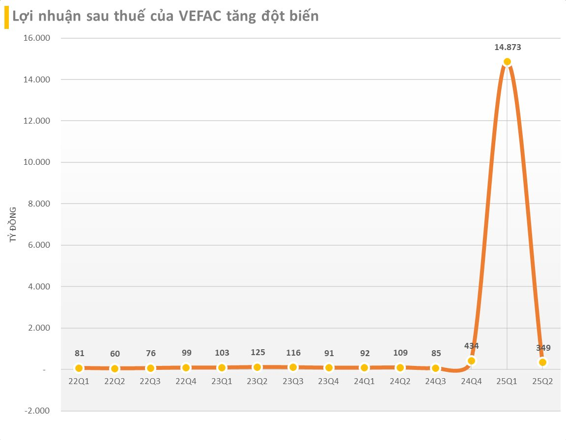 20 doanh nghiệp niêm yết lãi lớn nhất 6T2025: 60% là ngân hàng, 15% là bất động sản, chỉ có 1 DN sản xuất - Ảnh 2