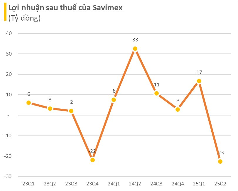 Chi 146 tỷ đồng mua cổ phiếu TCM bị lỗ 39 tỷ, công ty xuất khẩu gỗ báo lỗ quý 2 lớn nhất từ trước đến nay - Ảnh 1
