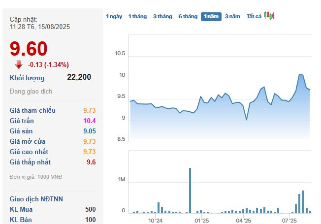 Tổng Giám đốc Đặng Thành Duy chi hàng tỷ đồng trở thành cổ đông lớn tại Vinasun - Ảnh 1