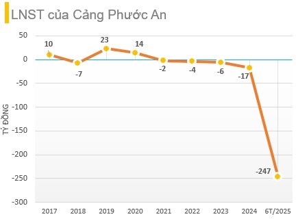 Lỗ luỹ kế 6 tháng gần 250 tỷ đồng, một công ty bất ngờ bổ nhiệm nữ lãnh đạo sinh năm 2002 - Ảnh 1