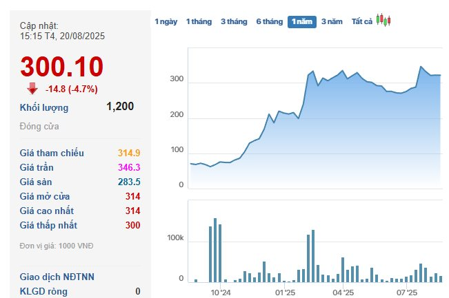 Doanh nghiệp Việt nắm loại khoáng sản được cả thế giới săn lùng sắp "dốc hầu bao" trả cổ tức 4.500 đồng/cp - Ảnh 3