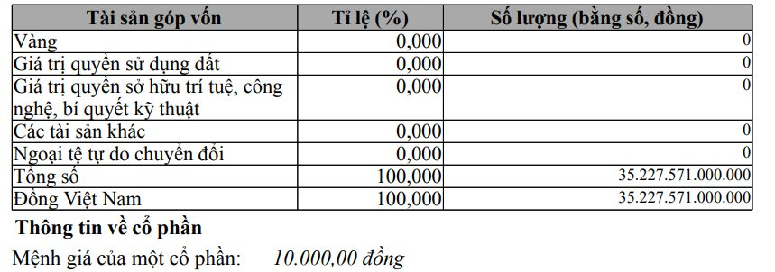 Masterise tiếp tục tăng vốn gấp 5 lần lên hơn 35.000 tỷ đồng, mở thêm ngành hàng không sau khi con trai chủ tịch Techcombank giữ vị trí CEO - Ảnh 1