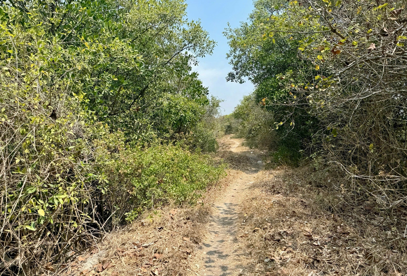 Chậm trễ dự án gần 500 tỷ được kỳ vọng 'lá phổi xanh' giữa lòng đô thị - Ảnh 8