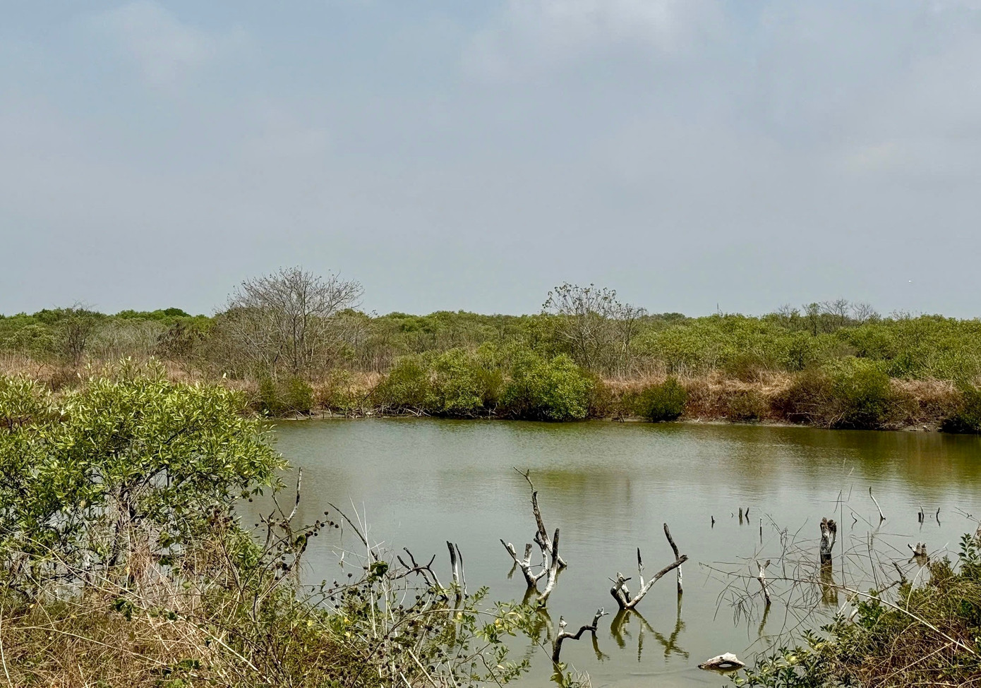 Chậm trễ dự án gần 500 tỷ được kỳ vọng 'lá phổi xanh' giữa lòng đô thị - Ảnh 1