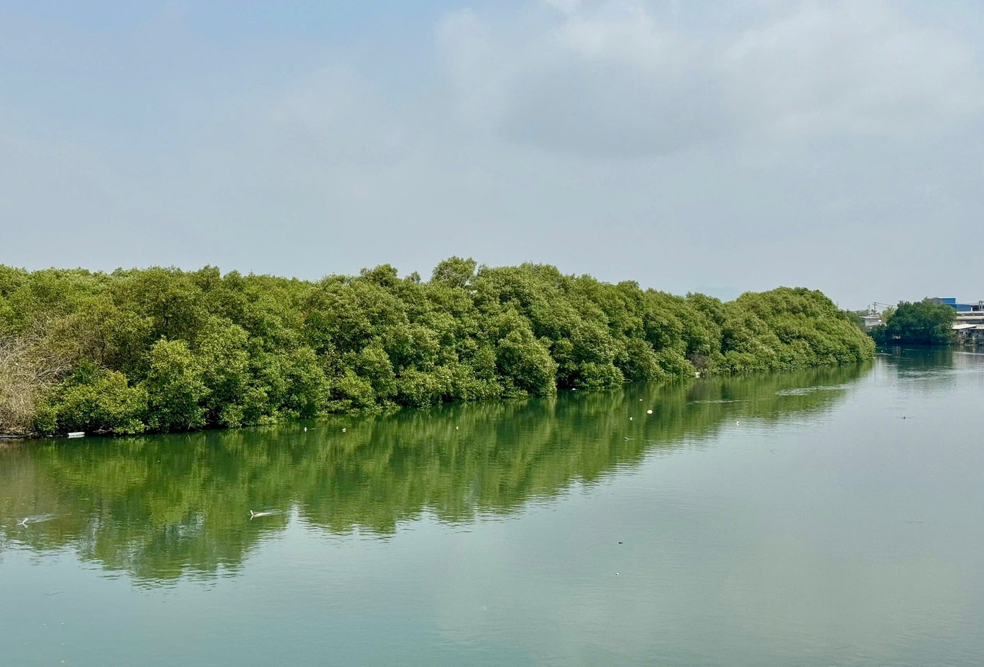 Chậm trễ dự án gần 500 tỷ được kỳ vọng 'lá phổi xanh' giữa lòng đô thị - Ảnh 2