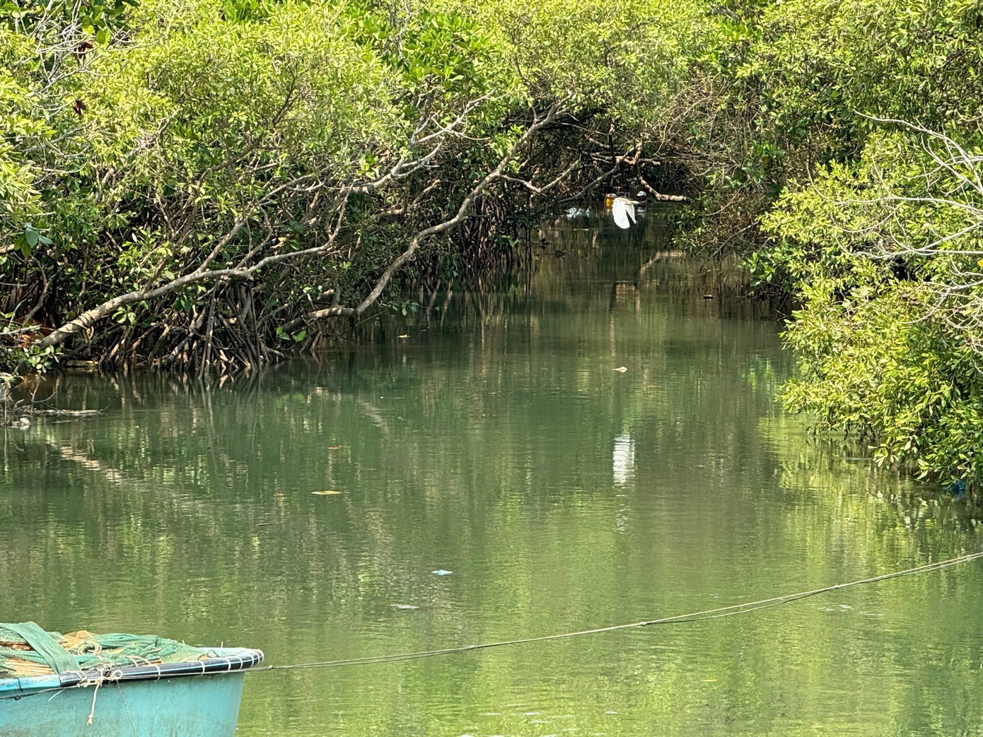 Chậm trễ dự án gần 500 tỷ được kỳ vọng 'lá phổi xanh' giữa lòng đô thị - Ảnh 4