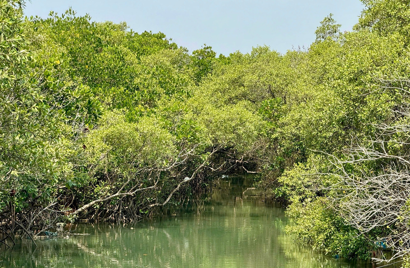 Chậm trễ dự án gần 500 tỷ được kỳ vọng 'lá phổi xanh' giữa lòng đô thị - Ảnh 9