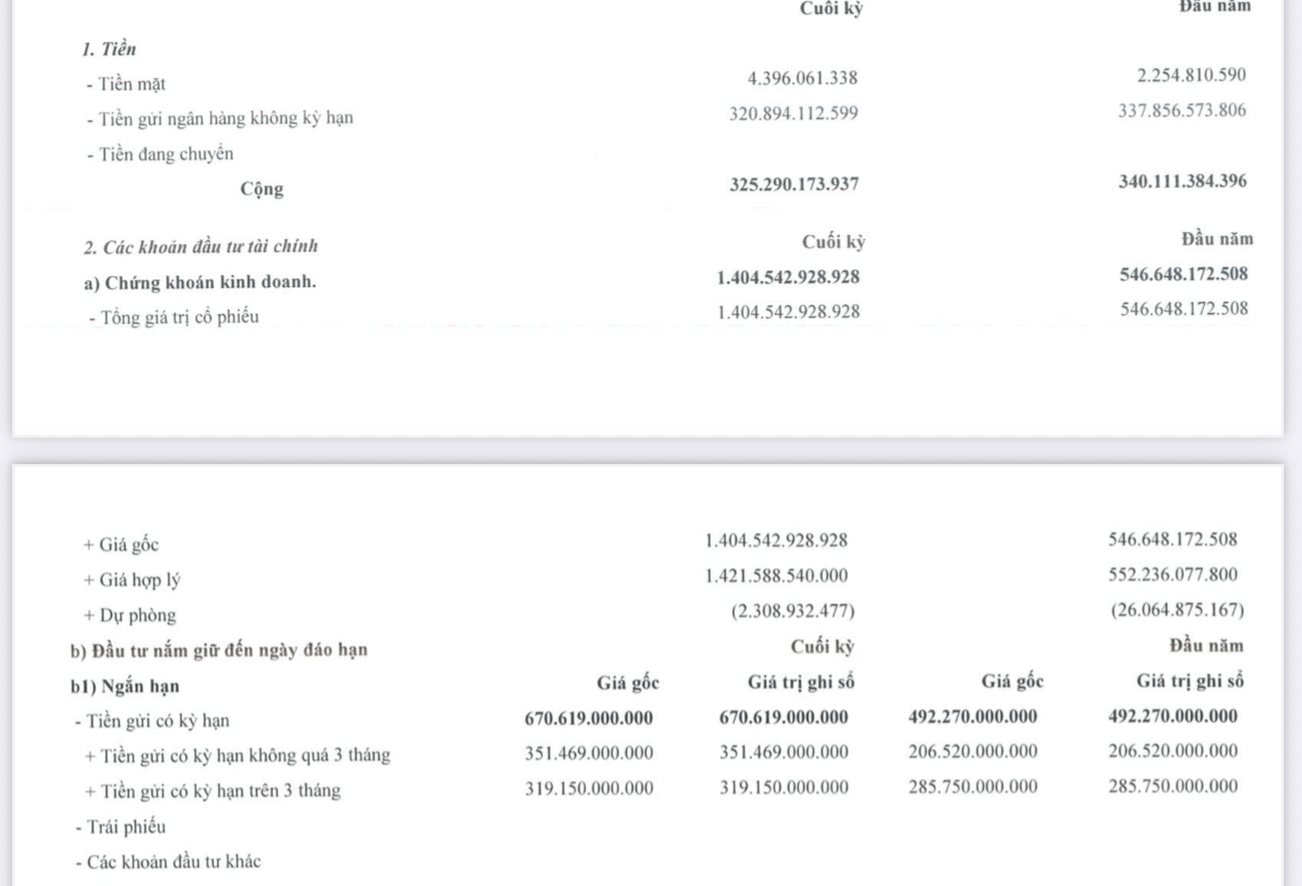 Cổ phiếu tăng gấp rưỡi sau 2 tuần, Viconship hé lộ danh mục đầu tư chứng khoán trị giá hơn 1.400 tỷ - Ảnh 1