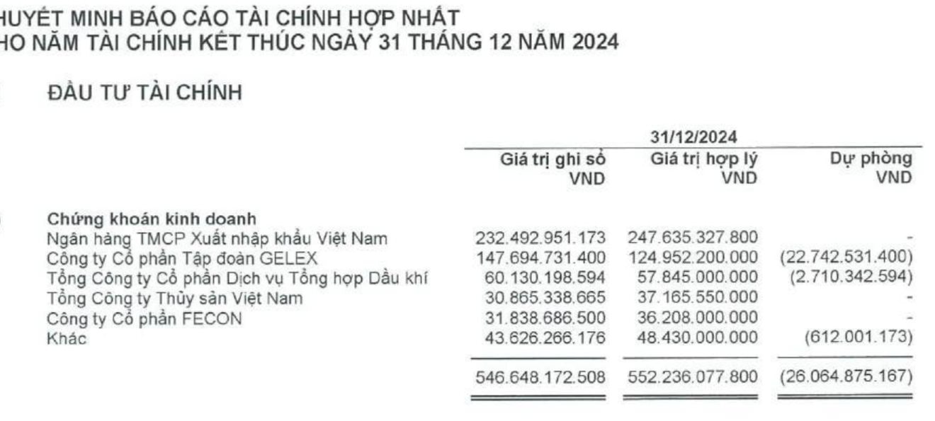 Cổ phiếu tăng gấp rưỡi sau 2 tuần, Viconship hé lộ danh mục đầu tư chứng khoán trị giá hơn 1.400 tỷ - Ảnh 2