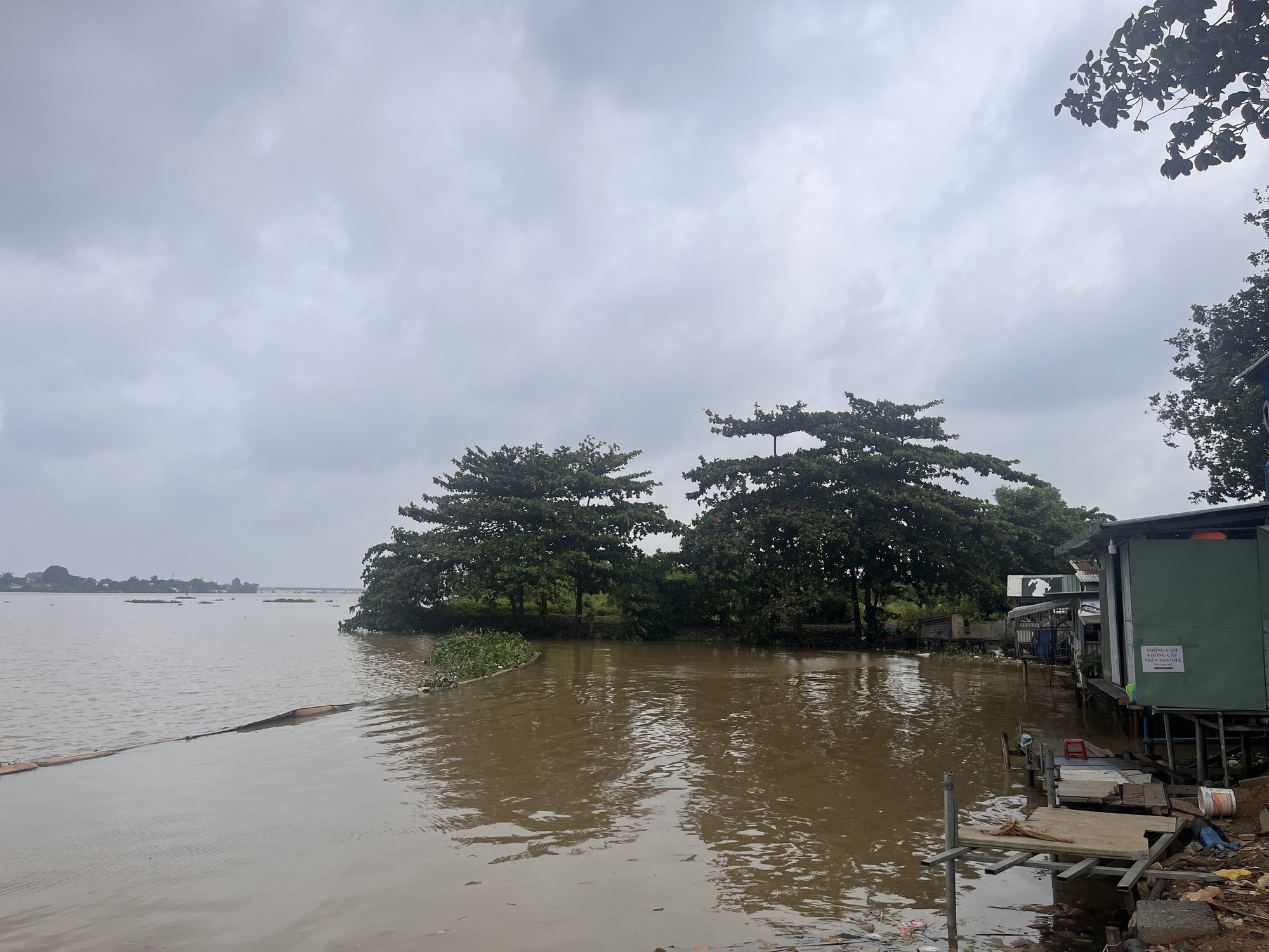 Cận cảnh dự án lấn sông Đồng Nai nằm im 10 năm bị Thanh tra Chính phủ "điểm tên" - Ảnh 13