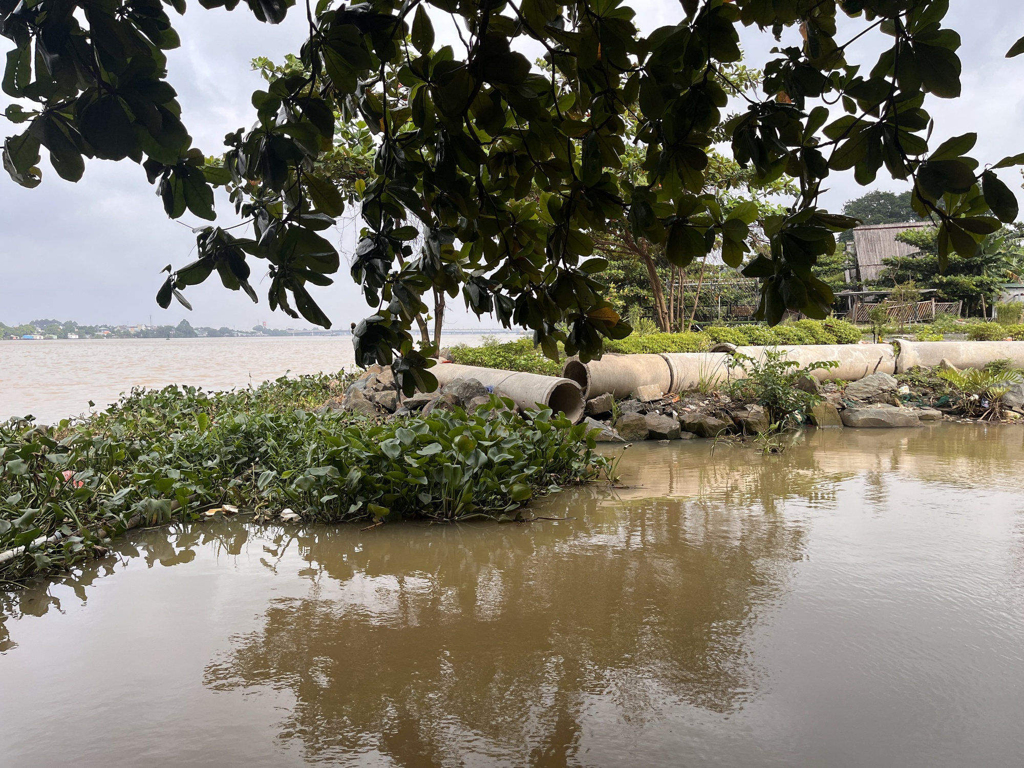 Cận cảnh dự án lấn sông Đồng Nai nằm im 10 năm bị Thanh tra Chính phủ "điểm tên" - Ảnh 2