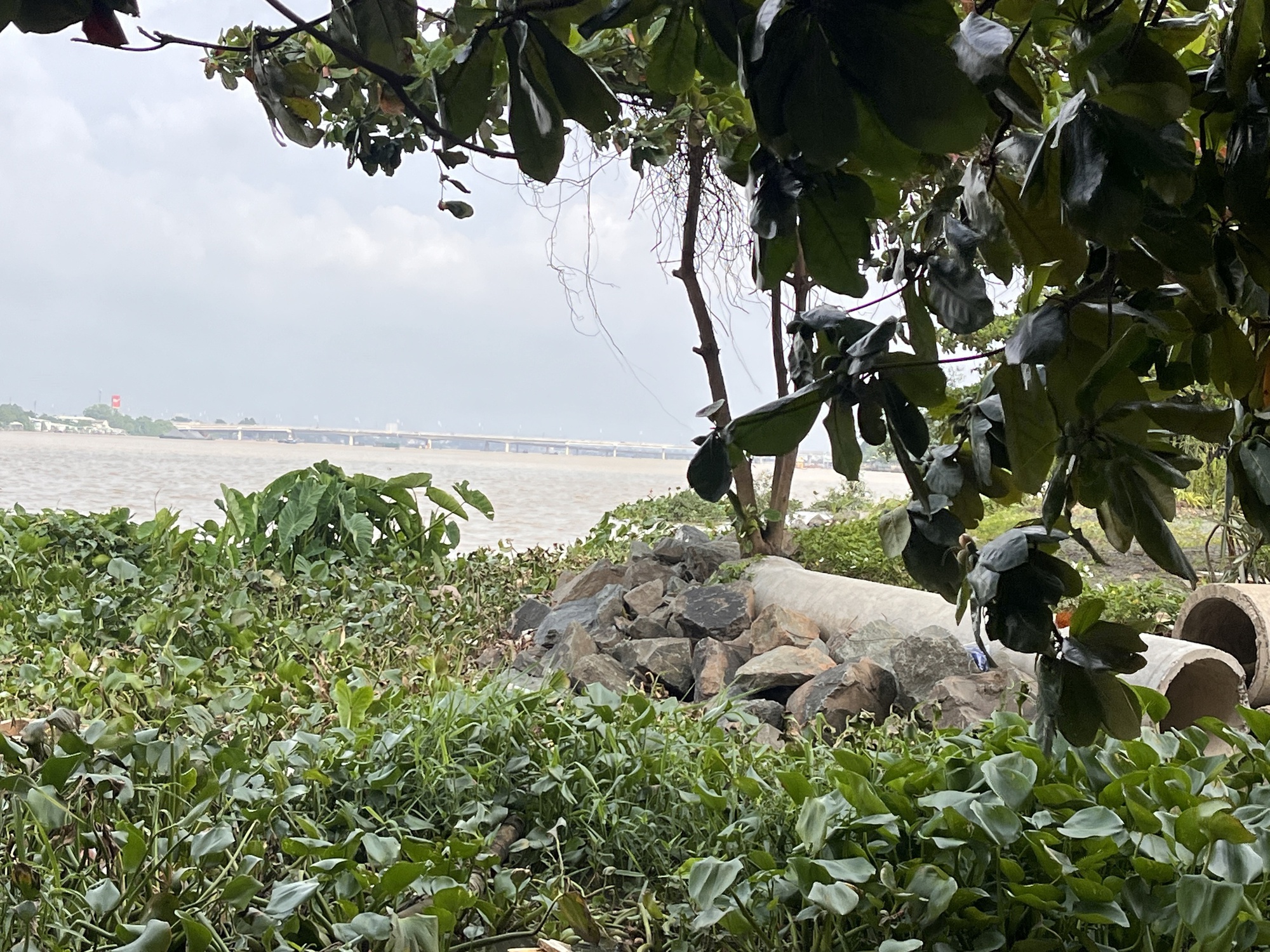 Cận cảnh dự án lấn sông Đồng Nai nằm im 10 năm bị Thanh tra Chính phủ "điểm tên" - Ảnh 10