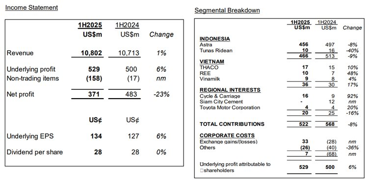 Tập đoàn chi hàng tỷ USD vào Thaco, Vinamilk, REE báo lãi ròng nửa đầu năm 2025 giảm 23%: Thị trường Việt Nam tỏa sáng, lãi từ REE tăng gần 50% - Ảnh 2