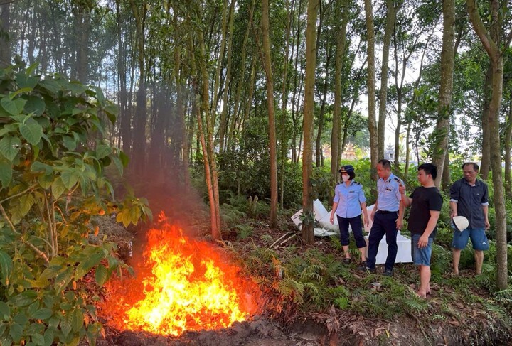 Phạt cơ sở kinh doanh gần 1,5 tạ thực phẩm đông lạnh không rõ nguồn gốc - Ảnh 1