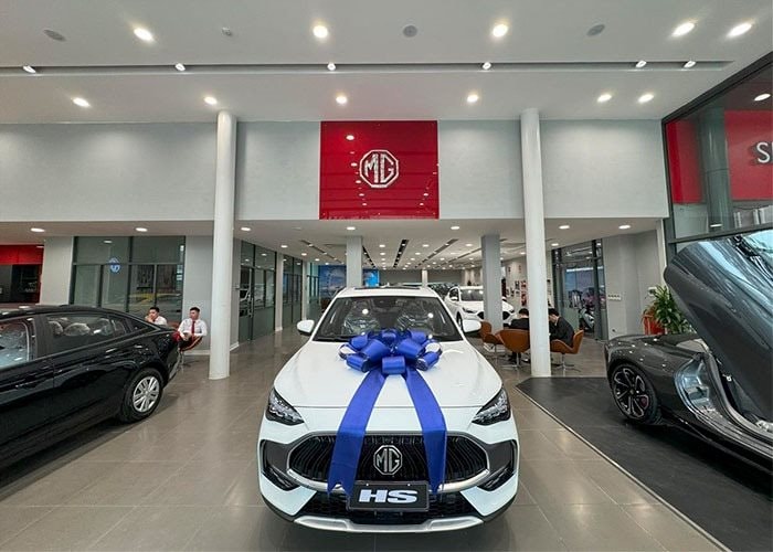 Trùm buôn xe Mercedes tại Việt Nam sắp đưa “át chủ bài” bán xe MG trở lại UPCoM, giá 20.000 đồng/cp - Ảnh 1