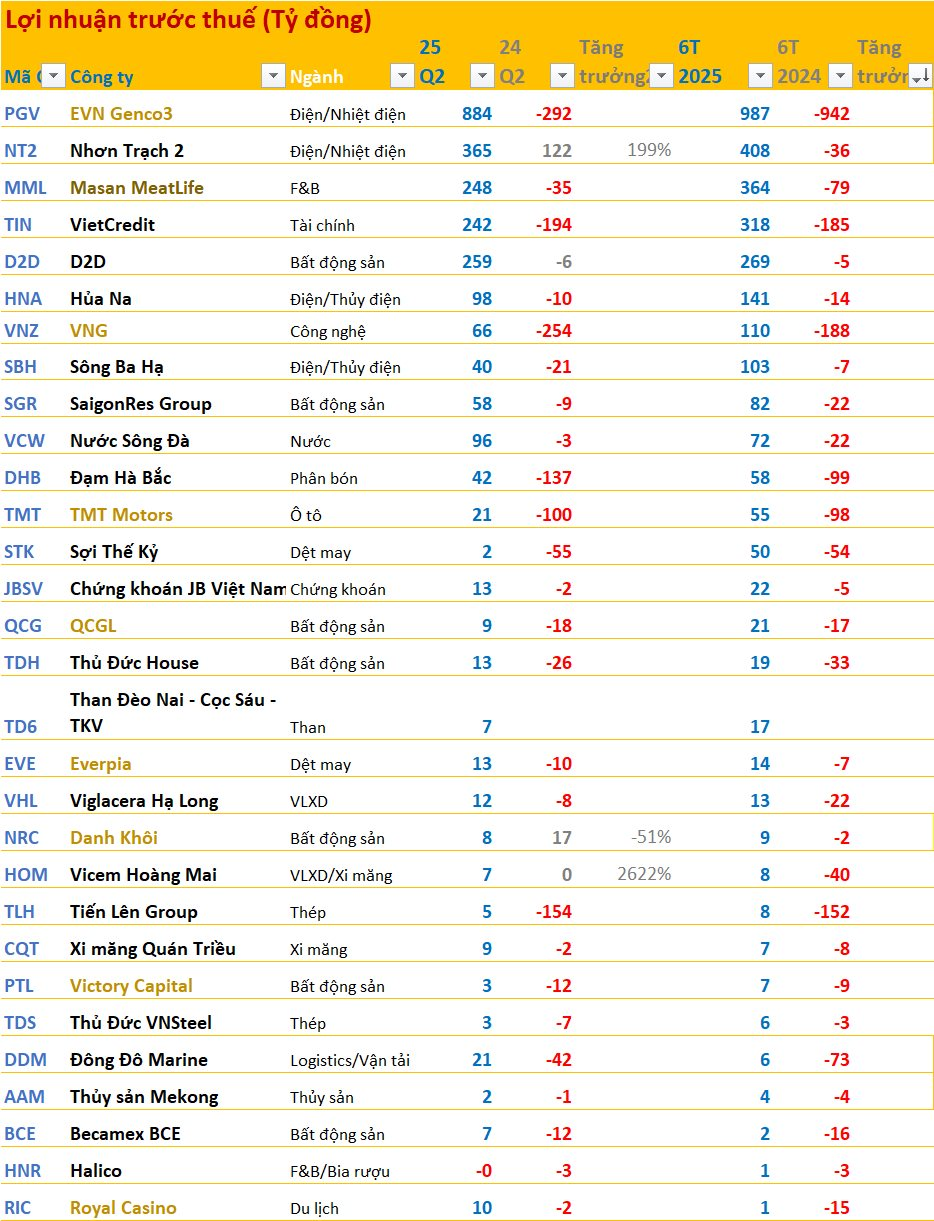 15 công ty tăng trưởng lợi nhuận 'khủng' nhất 6T2025: Đứng đầu là doanh nghiệp của tỷ phú Phạm Nhật Vượng, ngành điện góp mặt nhiều nhất - Ảnh 2