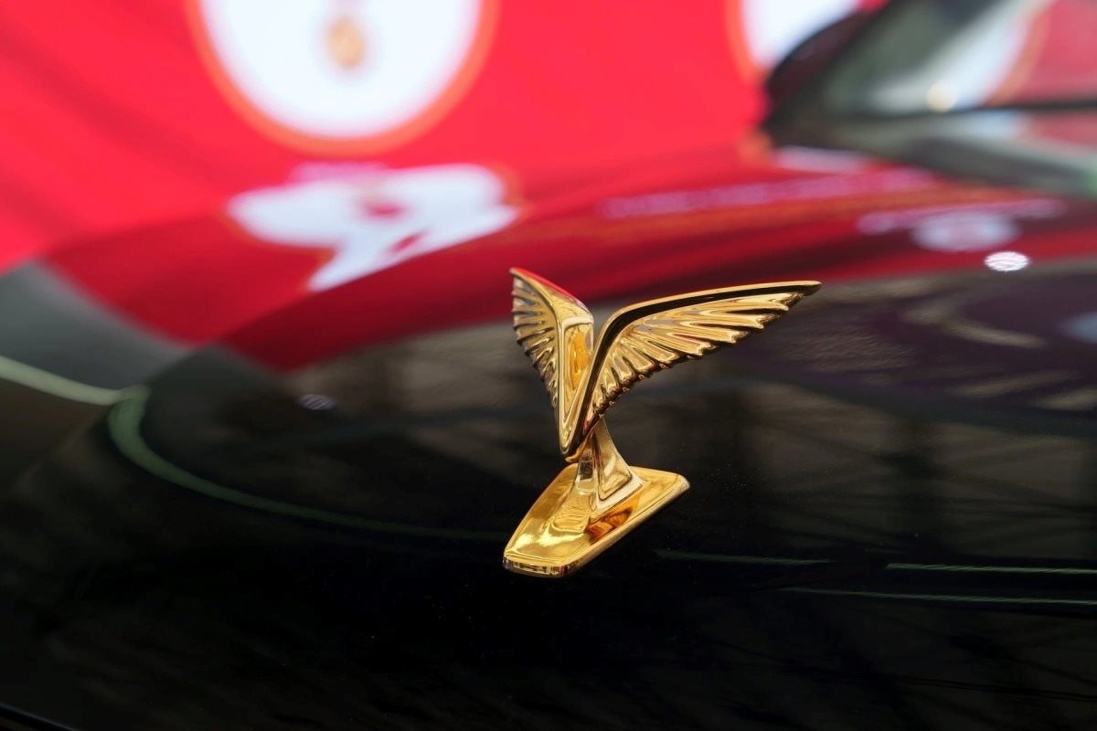 Lạc Hồng 900 LX của VinFast sở hữu chi tiết đắt giá bằng "vàng lộ thiên": Vô cùng quý hiếm - Ảnh 3