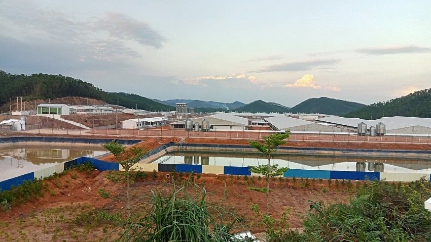 Quảng Ninh: Cuộc đổ bộ bạc tỷ vào ngành kinh tế đặc biệt quan trọng, nhắm thẳng tới thị trường Trung Quốc - Ảnh 2