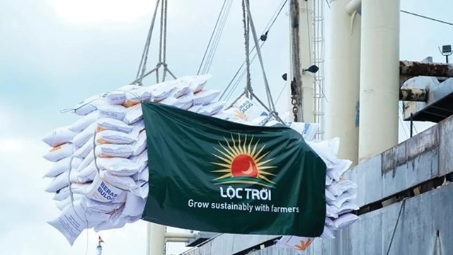 Cổ đông Lộc Trời không chấp nhận kế hoạch lỗ 500 tỷ, không bầu bổ sung thành viên HĐQT - Ảnh 1