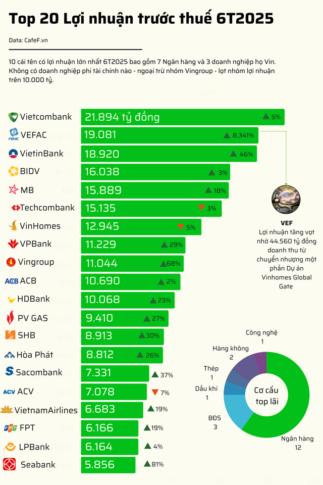 20 doanh nghiệp niêm yết lãi lớn nhất 6T2025: 60% là ngân hàng, 15% là bất động sản, chỉ có 1 DN sản xuất - Ảnh 1