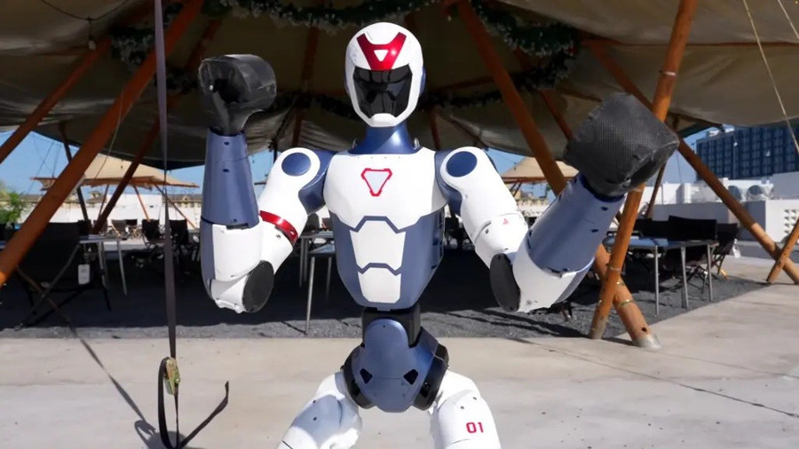 Mức giá thấp bất ngờ cho robot hình người có thể chạy, nhào lộn, đấm bốc - Ảnh 2