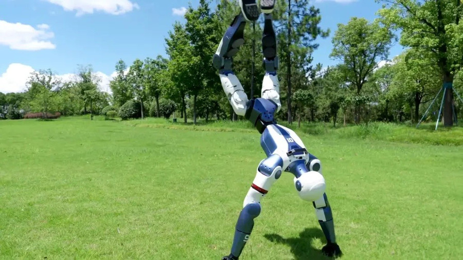 Mức giá thấp bất ngờ cho robot hình người có thể chạy, nhào lộn, đấm bốc - Ảnh 1