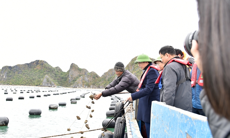 Giải quyết tận gốc nguyên nhân của tình trạng vi phạm IUU để khơi thông ngành kinh tế trọng yếu - Ảnh 4