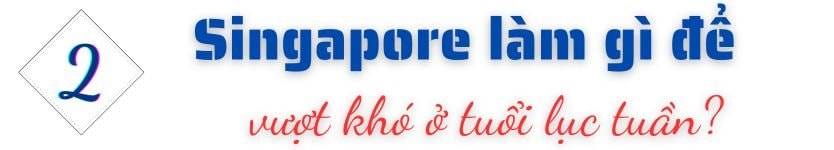 Từ bãi lầy trở thành siêu cường kinh tế, quốc gia ĐNÁ này giờ đây đối mặt thách thức “sống còn” ở tuổi 60 - Ảnh 4