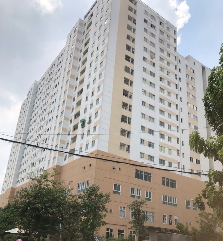 Giá nhà tăng chóng mặt: Dân khát nhà ở xã hội - Ảnh 1