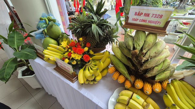 Chỉ đạo của Phó Thủ tướng Hồ Đức Phớc tại Đại hội Đảng bộ VRG - Ảnh 4