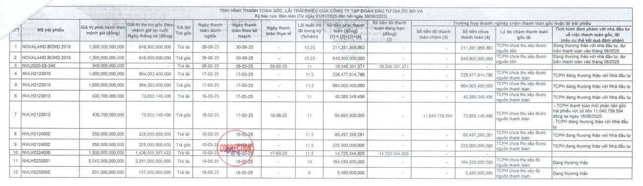 Novaland chậm thanh toán hơn 2.500 tỷ đồng gốc, lãi trái phiếu trong nửa đầu năm 2025 - Ảnh 1