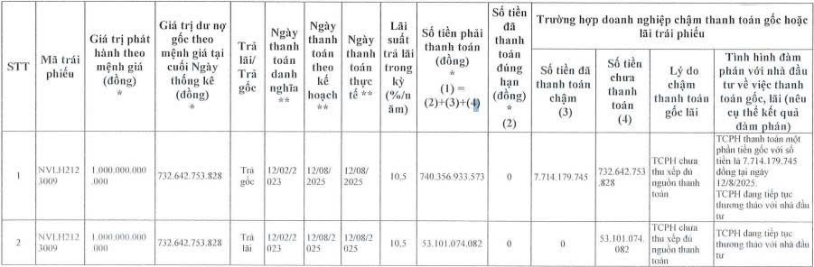 Novaland tiếp tục ‘khất nợ’ hơn 857 tỷ đồng gốc, lãi trái phiếu - Ảnh 1