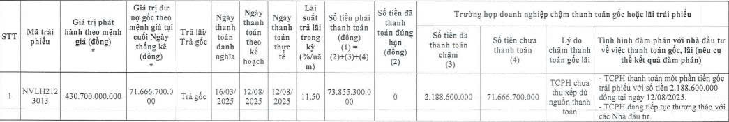 Novaland tiếp tục ‘khất nợ’ hơn 857 tỷ đồng gốc, lãi trái phiếu - Ảnh 2