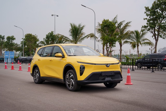 Đại gia Phú Thọ mua 10.000 xe điện VinFast Limo Green - Ảnh 3