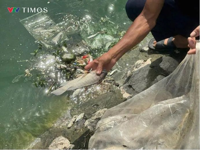 Hà Nội: Công viên 744 tỷ đồng giữa khu đô thị khát xanh bị "bỏ quên" - Ảnh 7