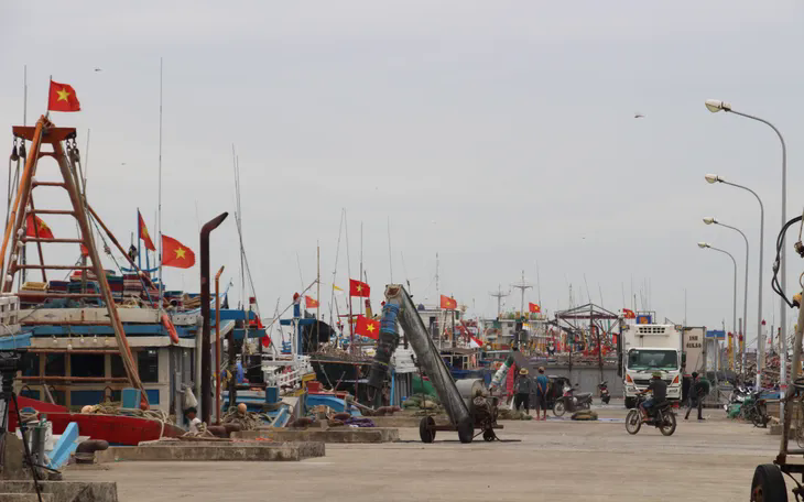 Ninh Bình đề xuất xây dựng cảng biển nước sâu tại khu kinh tế Ninh Cơ - Ảnh 1