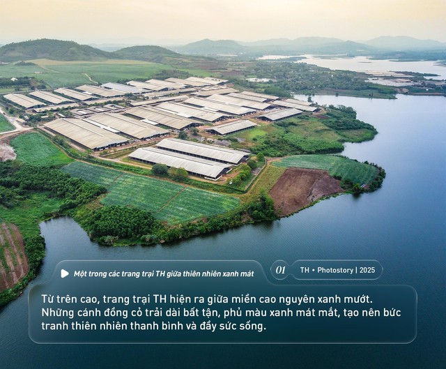 Bức tranh thiên nhiên ngút tầm mắt chỉ có ở nơi sản xuất sữa tươi sạch TH true MILK - Ảnh 1