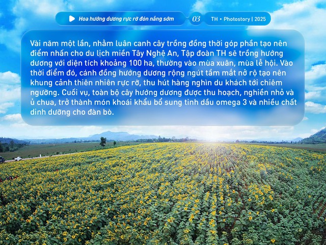 Bức tranh thiên nhiên ngút tầm mắt chỉ có ở nơi sản xuất sữa tươi sạch TH true MILK - Ảnh 3