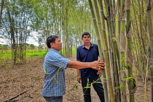 Hành trình nâng tầm vật liệu xanh với thương hiệu Tre Tầm Vông Đàm Phương - Ảnh 2