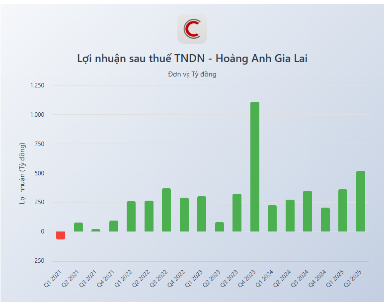 Cổ phiếu vừa mua còn chưa về tài khoản, con trai Bầu Đức muốn chi tiếp 400 tỷ đồng 'gom' thêm HAG - Ảnh 1