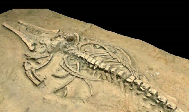 7 bí ẩn lịch sử tưởng như vĩnh viễn không thể lý giải được, thế mà cuối cùng đã có đáp án rồi - Ảnh 3