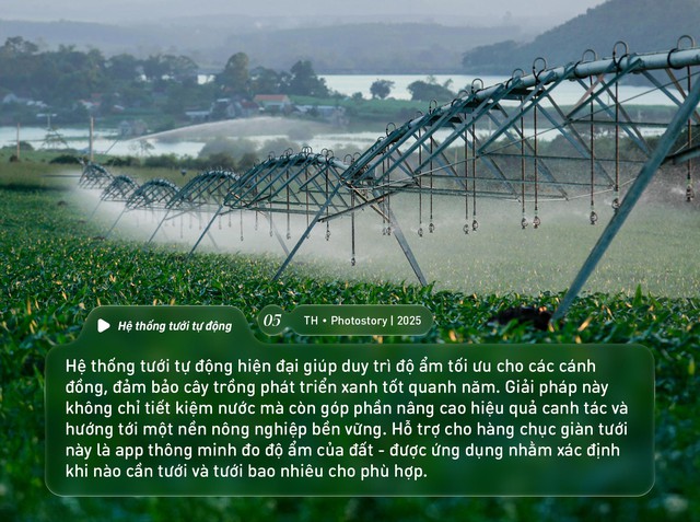 Bức tranh thiên nhiên ngút tầm mắt chỉ có ở nơi sản xuất sữa tươi sạch TH true MILK - Ảnh 5