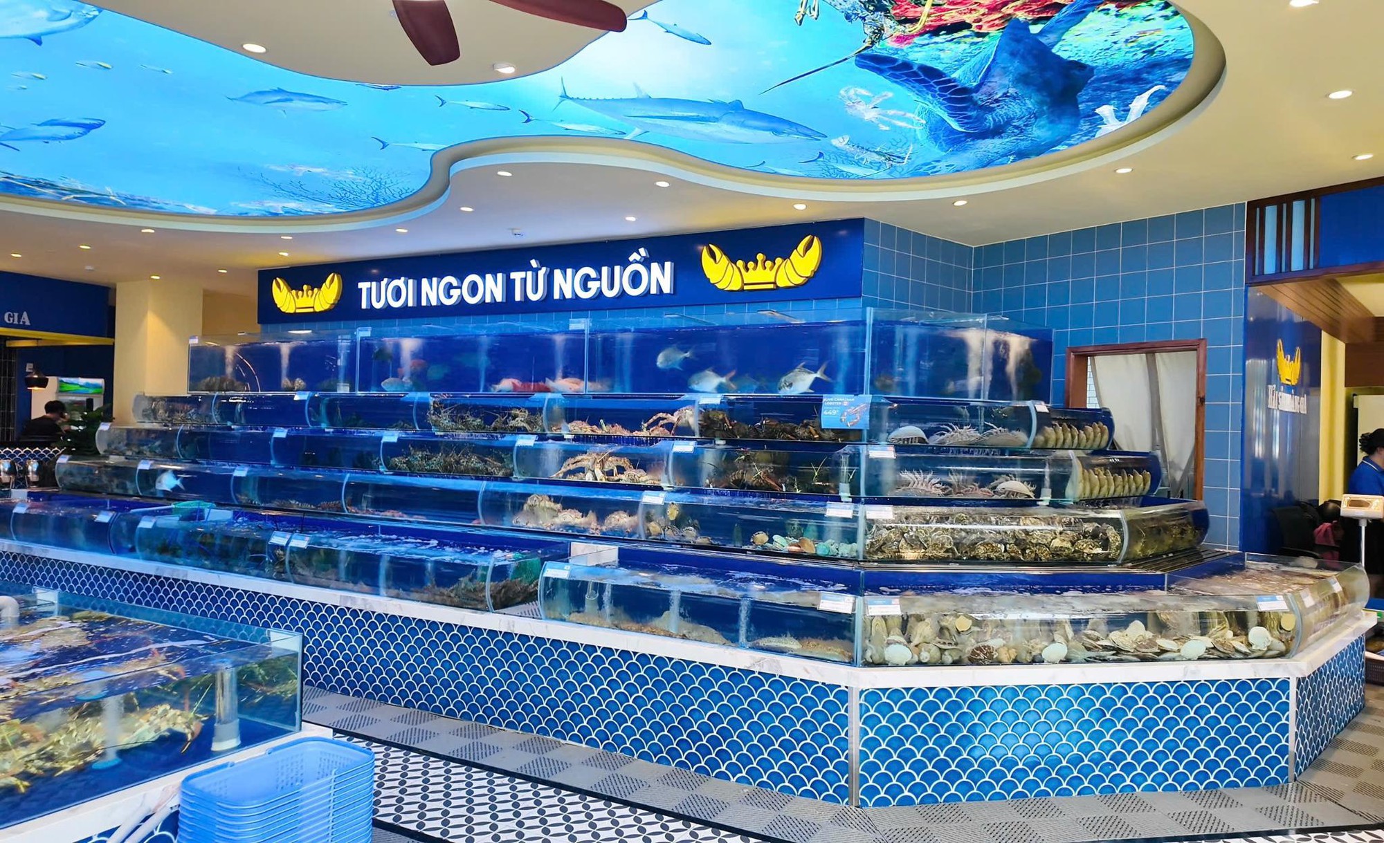 Hải Sản Hoàng Gia với khát vọng vươn tầm Đông Nam Á - Ảnh 2