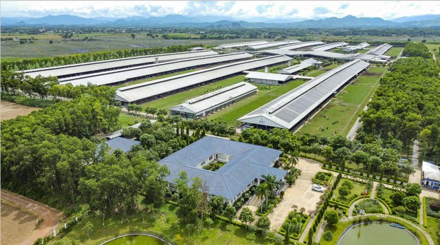 Việt Nam có thương hiệu sữa được đánh giá tiềm năng nhất toàn cầu - Ảnh 3